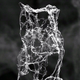 Illustration for article titled Aerographite Is the Lightest Material Ever Made